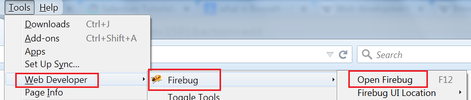how to install firebug and firepath
