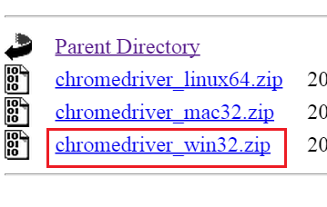 Chrome driver exe