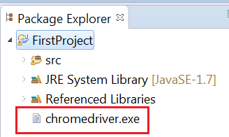 chrome driver at project path