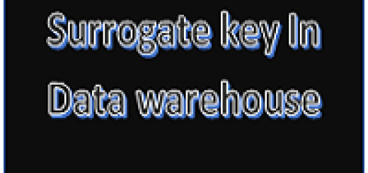 Surrogate key in Data Warehouse