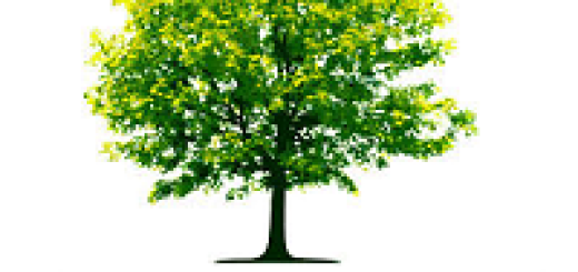 TreeSet in java