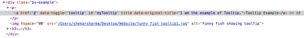 tool tip html